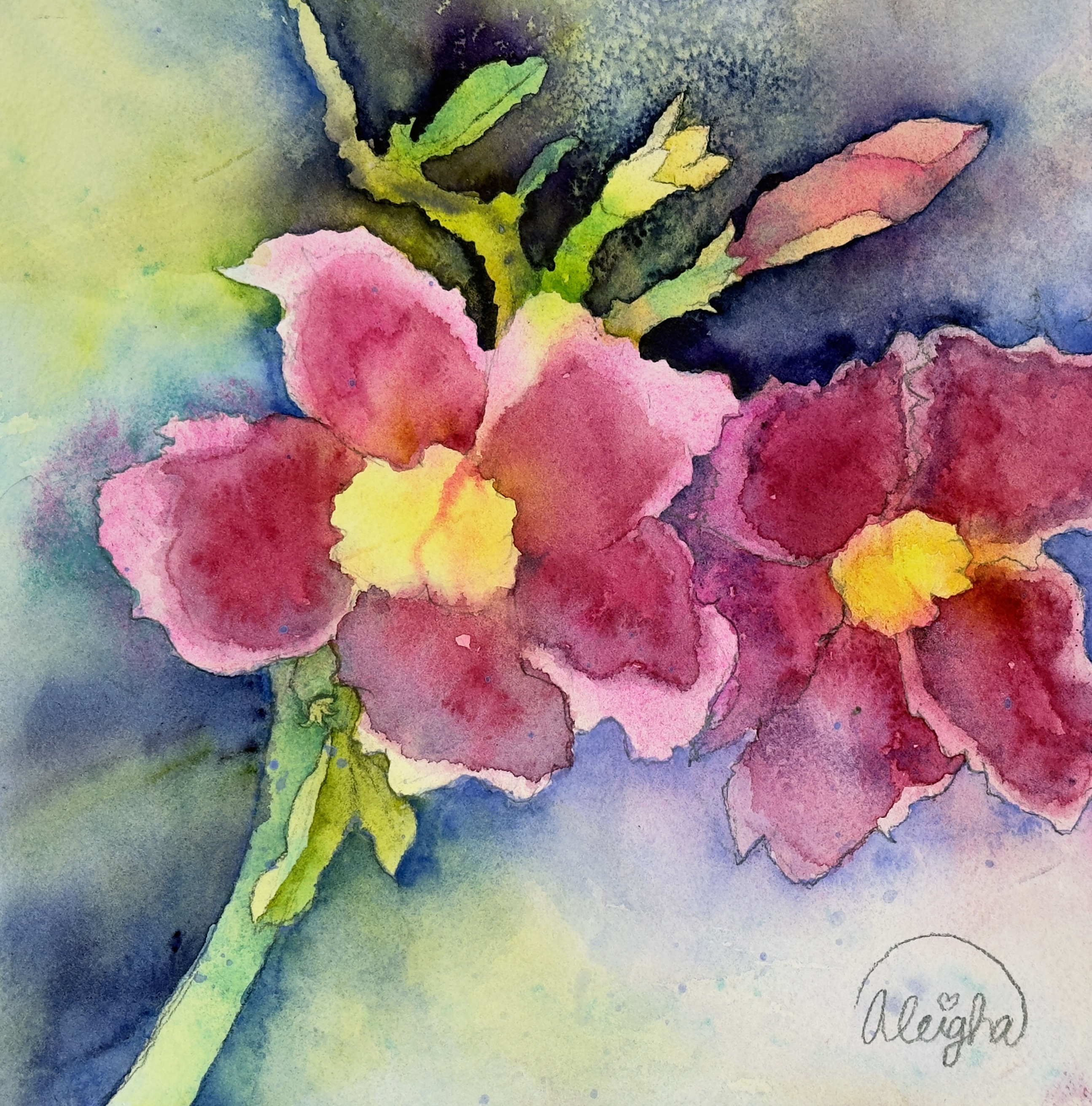 Desert Roses
